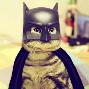 Meet your Posher, Kay